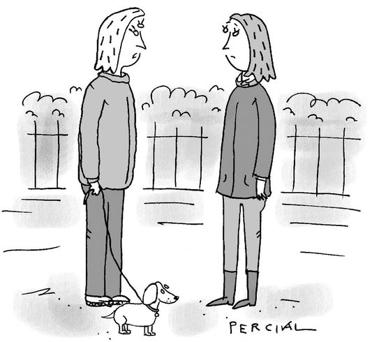 Percival - Life on paws - 8 February 2025