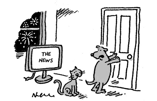 Nick Newman - ‘Keep the humans outside – they get distressed by what goes on indoors.’ - 4 November 2023