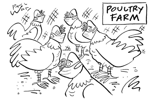 Paul Wood - Poultry farm - 12 November 2022