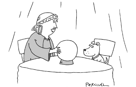 Percival - You will be a good boy - 27 September 2025