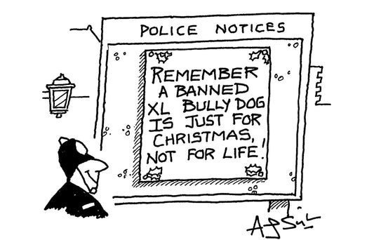 A J Singleton - Police notices - 2 December 2023