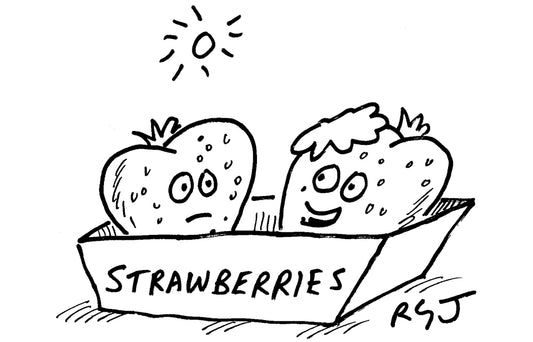 RGJ - ‘It’s summer. Make sure you’ve got some cream on.’ - 4 July 2026