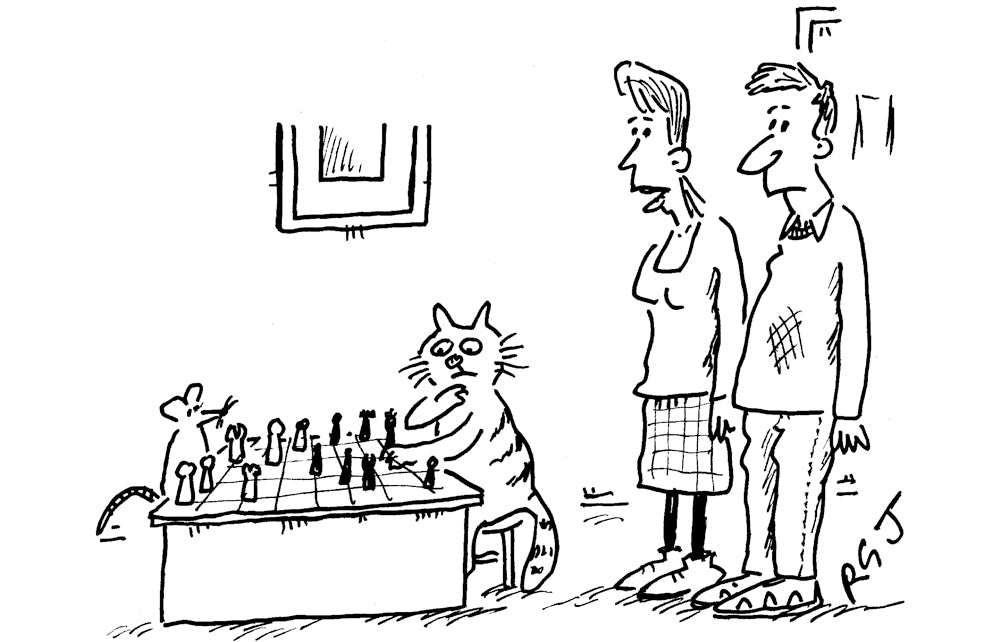 RGJ - ‘The cat’s brought a mouse in to play with.’ - 7 February 2026