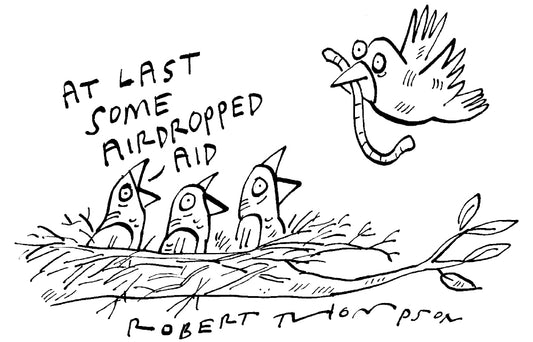 Robert Thompson - At last some airdropped aid - 2 August 2025