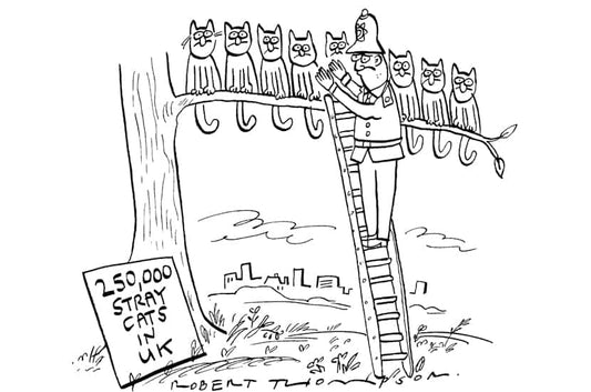 Robert Thompson - 250,000 stray cats in UK - 6 November 2021