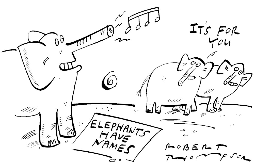 Robert Thompson - Elephants have names - 15 June 2024