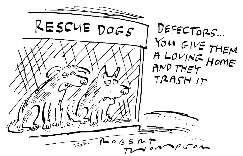 Robert Thompson - Rescue dogs - 18 May 2024