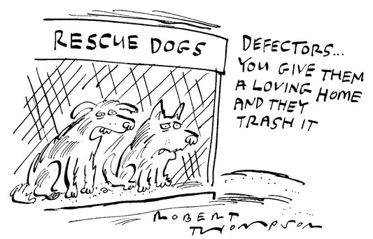 Robert Thompson - Rescue dogs - 18 May 2024