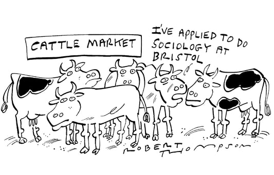 Robert Thompson - Cattle market - 19 August 2023