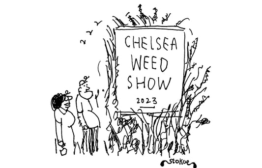 Stokoe - Chelsea weed show 2023 - 27 May 2023