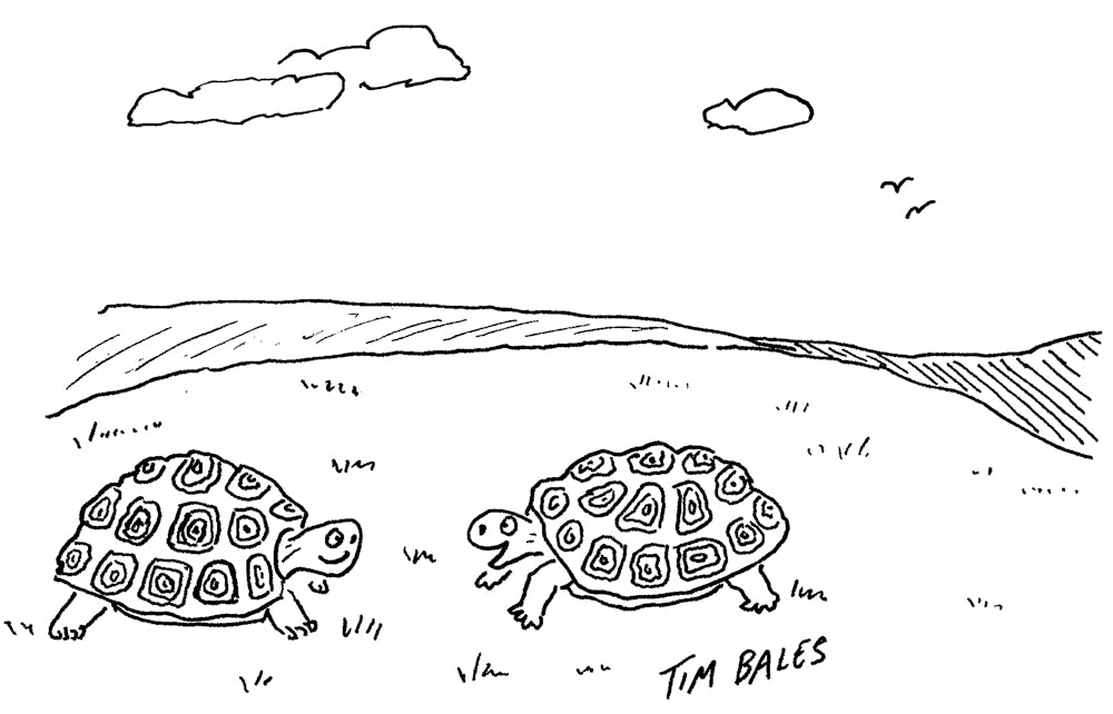 Tim Bales - Whatever David Attenborough’s on, I want some of it! - 9 May 2026