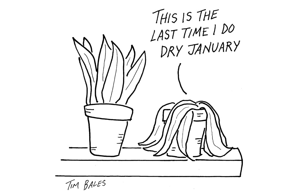 Tim Bales - This is the last time I do dry January - 13 January 2024