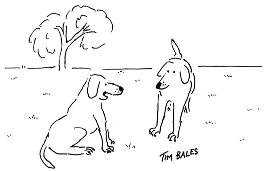 Tim Bales - ‘I’m Pavlov’s dog. Does the name ring a bell?’ - 26 November 2022